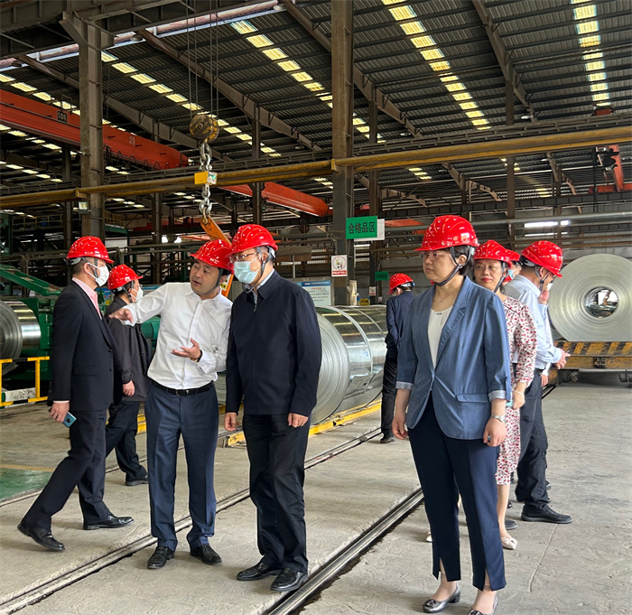 民建中央領(lǐng)導(dǎo)走訪我司